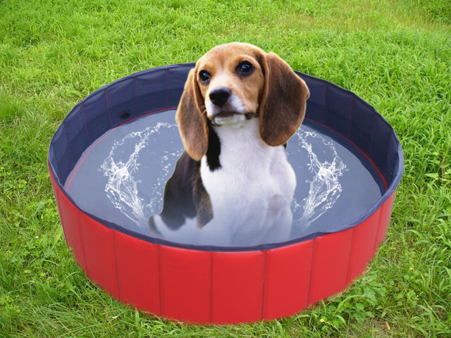 Hunde POOL Doggy Pool Hundepool H00018 eBay