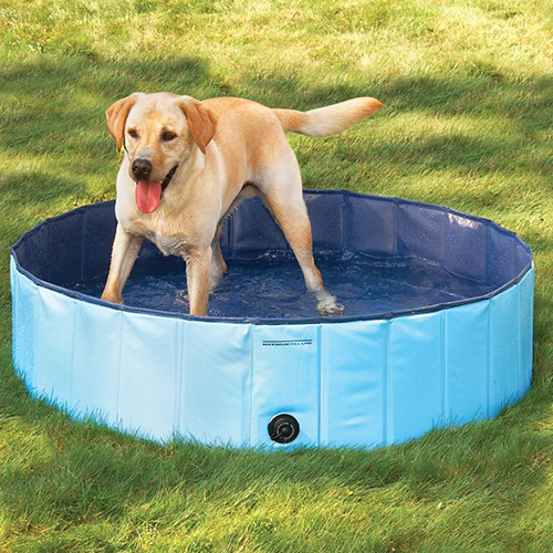 Hunde Pool Doggy Pool Hundepool Swimmingpool für Hunde 80/120/160 CM